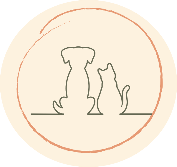 Accompagnement adoption chien et chat, Complicité Animale
