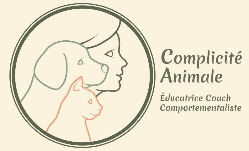 Complicité Animale, éducatrice comportementaliste chiens et chats