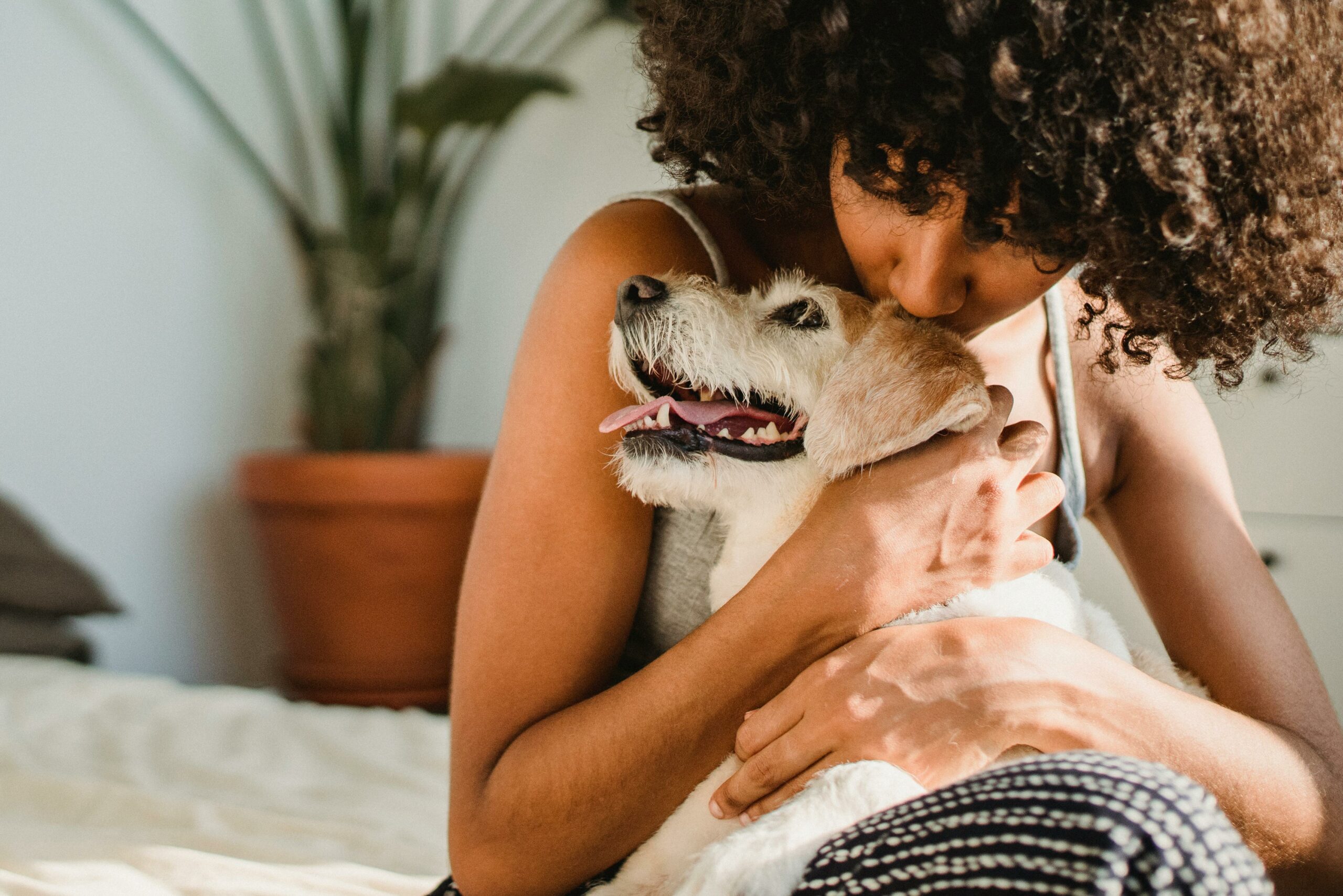 femme fait câlin à un chien, après adoption après accompagnement avec Complicité Animale