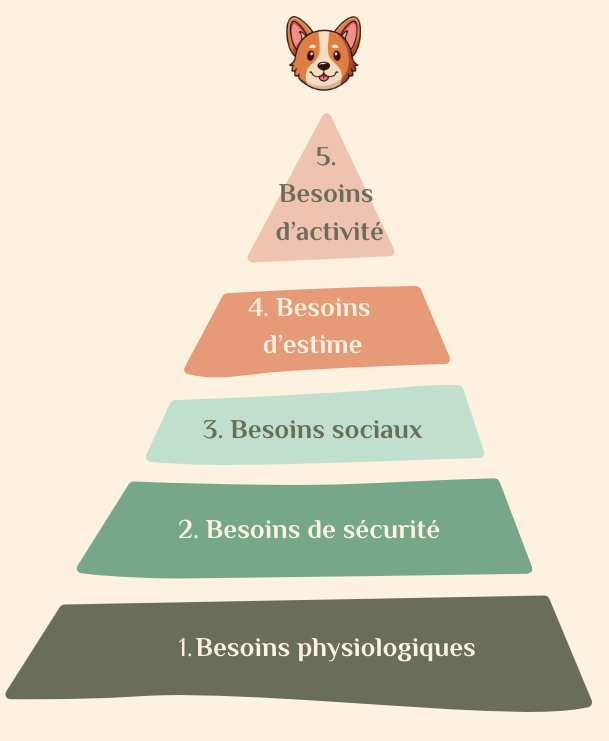 Pyramide de Maslaw adaptée aux chiens